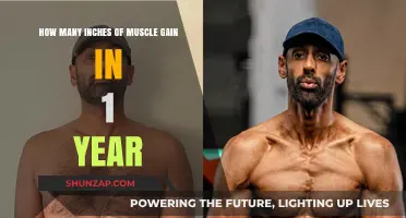 Maximizing Muscle Growth: Achieving Impressive Inches in One Year