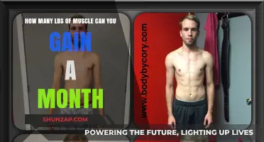 Maximize Muscle Growth: Monthly Gains and Realistic Expectations