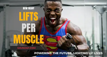 Lifts to Muscles: Optimizing Your Workout Routine