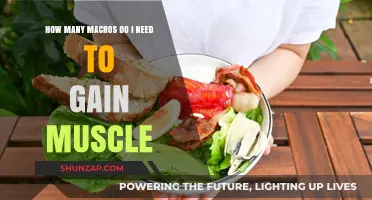 Calculate Your Macros for Optimal Muscle Gain: A Comprehensive Guide