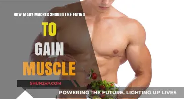 Optimize Your Muscle Gain: Understanding Macro Intake for Strength Building