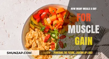 Optimal Meal Frequency for Muscle Gain: Strategies for Effective Growth