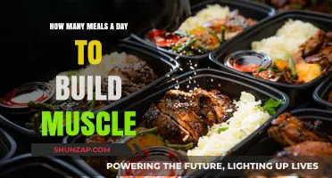 Fuel Your Gains: The Optimal Meal Frequency for Muscle Building