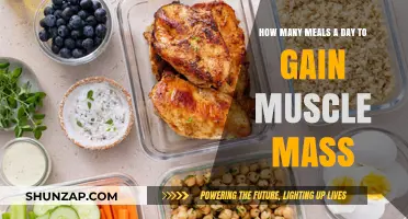 Optimal Meal Frequency for Muscle Gain: Fueling Your Growth