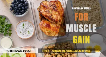 Fuel Your Muscle Growth: Optimal Meal Frequency for Gains