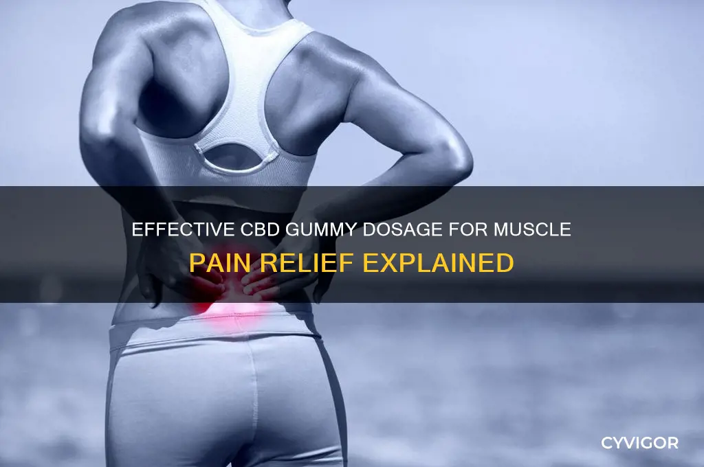 how many mg gummies for muscle pain