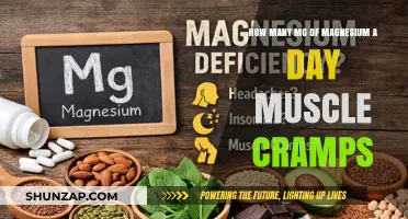 Daily Magnesium Intake to Prevent Muscle Cramps: A Guide