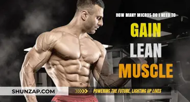 Optimal Micros Intake for Lean Muscle Gain: A Comprehensive Guide