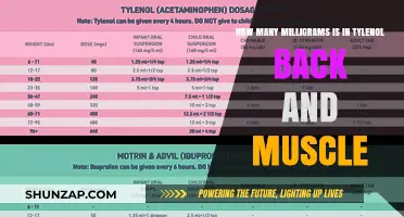 Understanding Tylenol Dosage for Back and Muscle Pain Relief