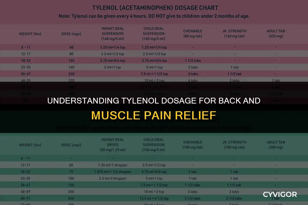 how many milligrams is in tylenol back and muscle