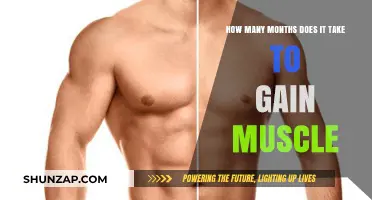 Building Muscle: Understanding the Realistic Timeline for Visible Results