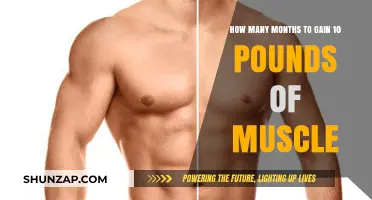 Effective Muscle Building: Timeline to Gain 10 Pounds of Muscle