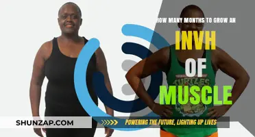 Muscle Growth Timeline: How Long to Gain an Inch?