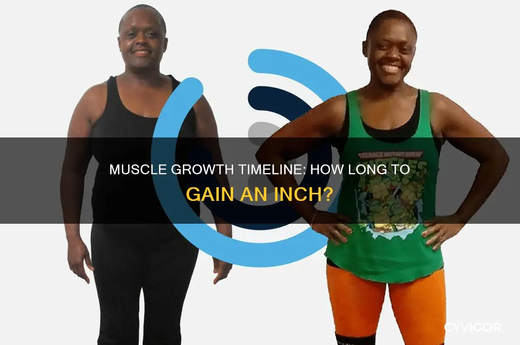 how many months to grow an invh of muscle