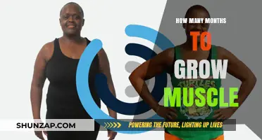 Muscle Growth Timeline: How Long Does It Take to Build Muscle?