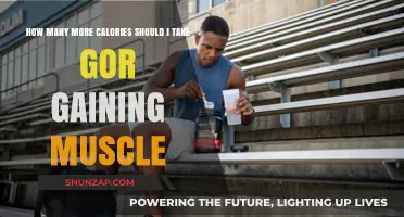 Fuel Your Muscle Gain: Calorie Surplus Strategies for Optimal Growth
