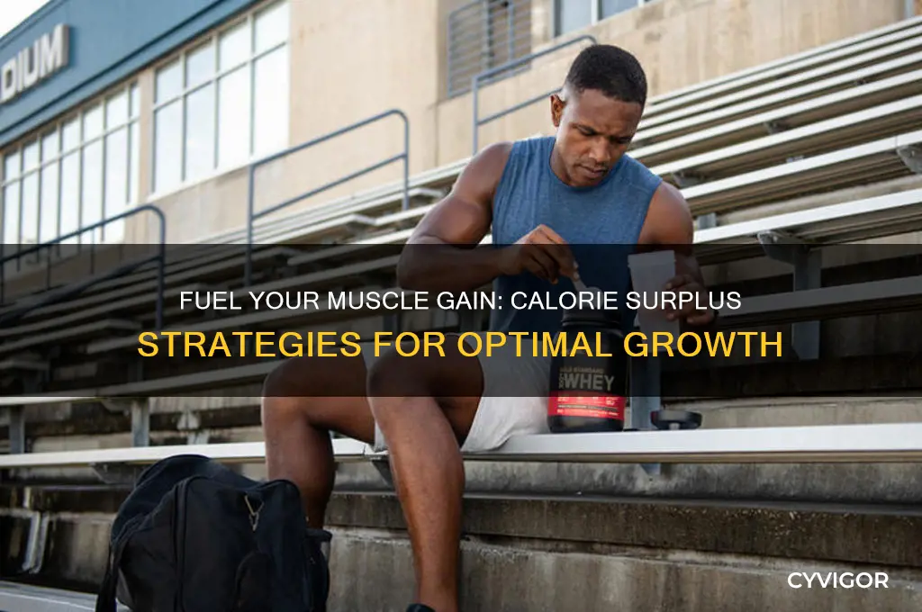 how many more calories should i take gor gaining muscle