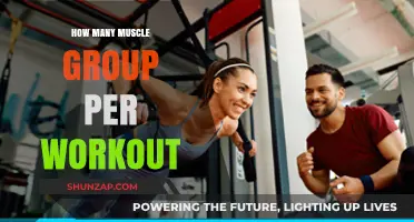 Optimizing Your Workout: How Many Muscle Groups to Target Daily?