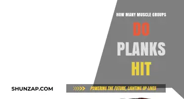 Plank Power: Unveiling the Surprising Muscle Groups This Exercise Targets
