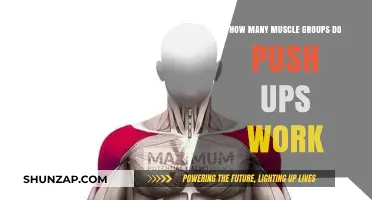 Push-Ups: Unlocking the Power of Multiple Muscle Groups