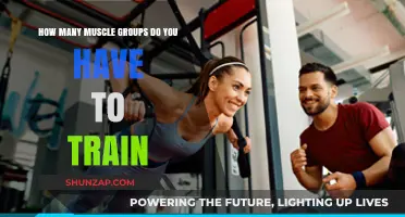 Effective Muscle Training: How Many Groups Should You Focus On?
