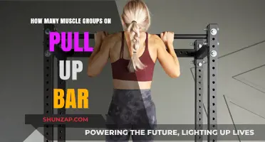 Maximize Your Pull-Up Workout: Targeting Key Muscle Groups Effectively