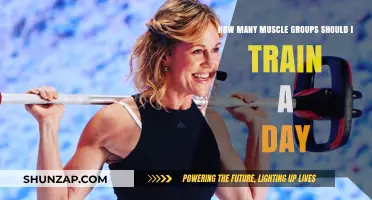 Optimize Your Workout: Ideal Daily Muscle Group Training Strategies