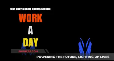 Optimize Your Workout: Ideal Daily Muscle Group Training Strategies
