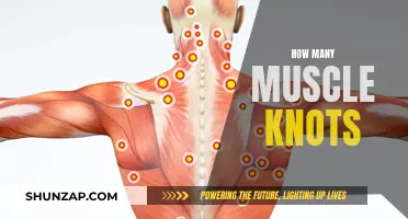 Muscle Knots: Understanding Their Prevalence and Treatment Options