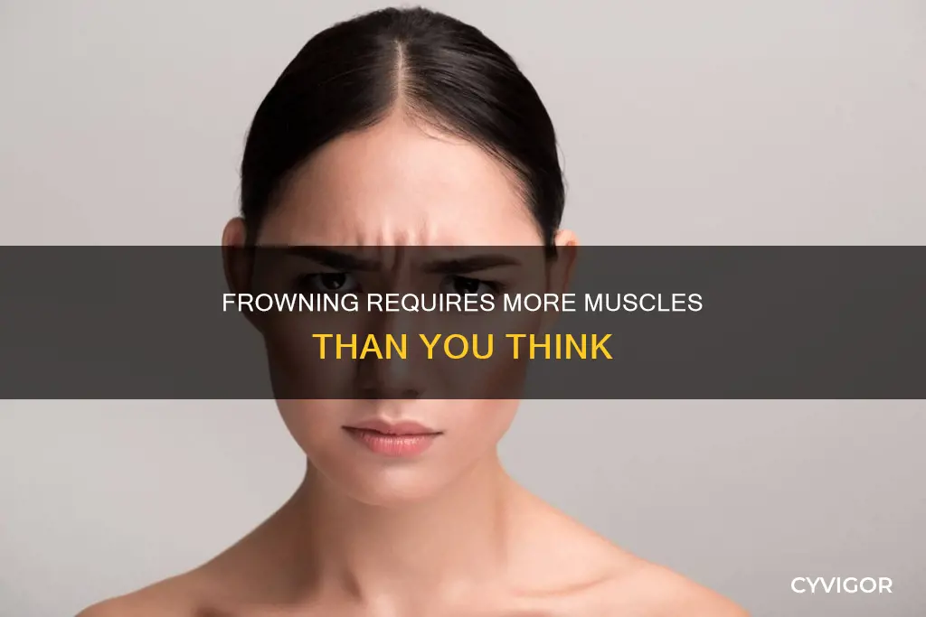 how many muscle to frown
