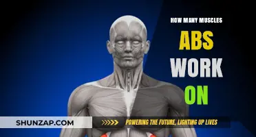 Unveiling the Core: Muscles Engaged During Abdominal Workouts Explained