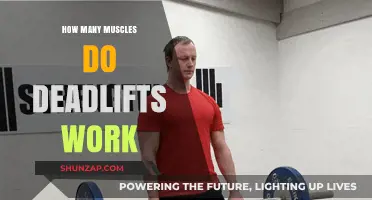 Deadlifts: Unlocking Full-Body Strength and Muscle Activation Explained