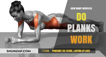 Plank Power: Unveiling the Muscles Engaged in This Core Exercise