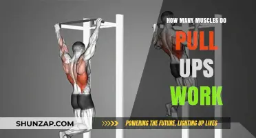 Pull-Ups: Unveiling the Comprehensive Muscle Engagement in This Powerful Exercise
