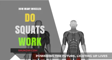 Squats: Unlocking the Power of Multiple Muscle Groups in One Move