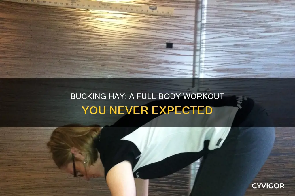 how many muscles do u work bucking hay