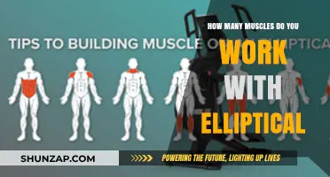Maximize Your Workout: Muscles Targeted by Elliptical Training