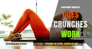 Crunches: Unveiling the Muscles Engaged in This Core Exercise