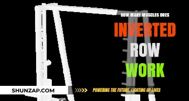 Inverted Rows: Target Muscles and Full-Body Strength Benefits Explained