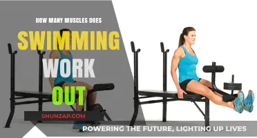 Swimming: A Full-Body Workout Targeting Multiple Muscle Groups