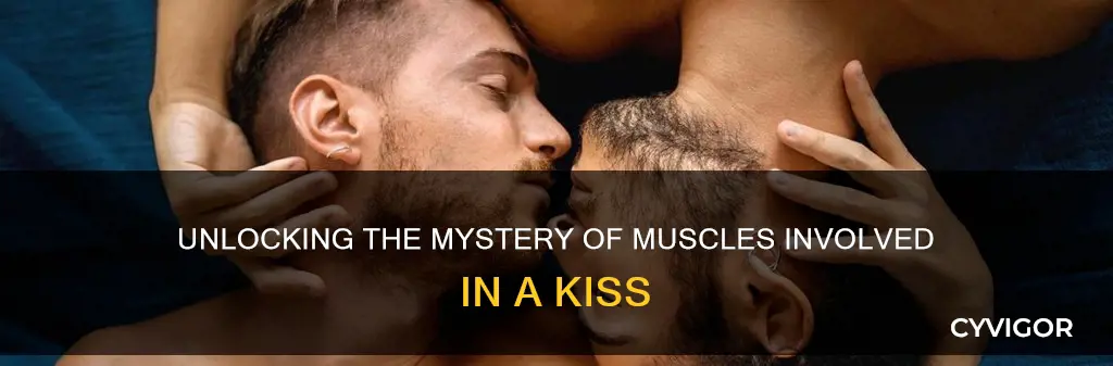 how many muscles kiss