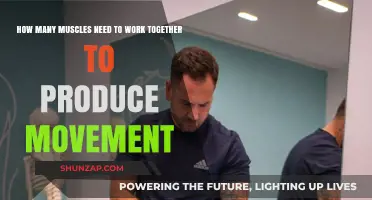 Muscle Synergy: Unlocking the Complex Coordination Behind Every Movement