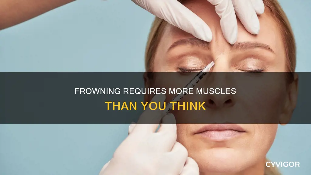 how many muscles to frown