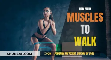 Walking: Muscles Required and How They Work Together