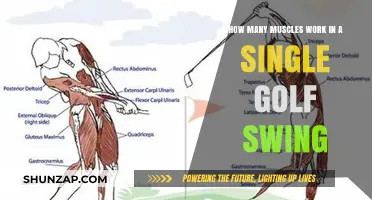Unveiling the Muscular Symphony Behind Every Golf Swing