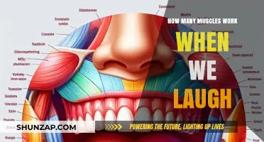 Laughing's Muscle Power: Unveiling the Surprising Anatomy of Joy