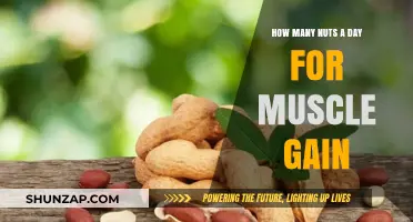 Nuts for Muscle Gain: Optimal Daily Serving for Strength