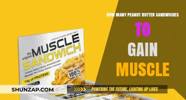 Peanut Butter Sandwiches: A Muscle-Building Snack Strategy