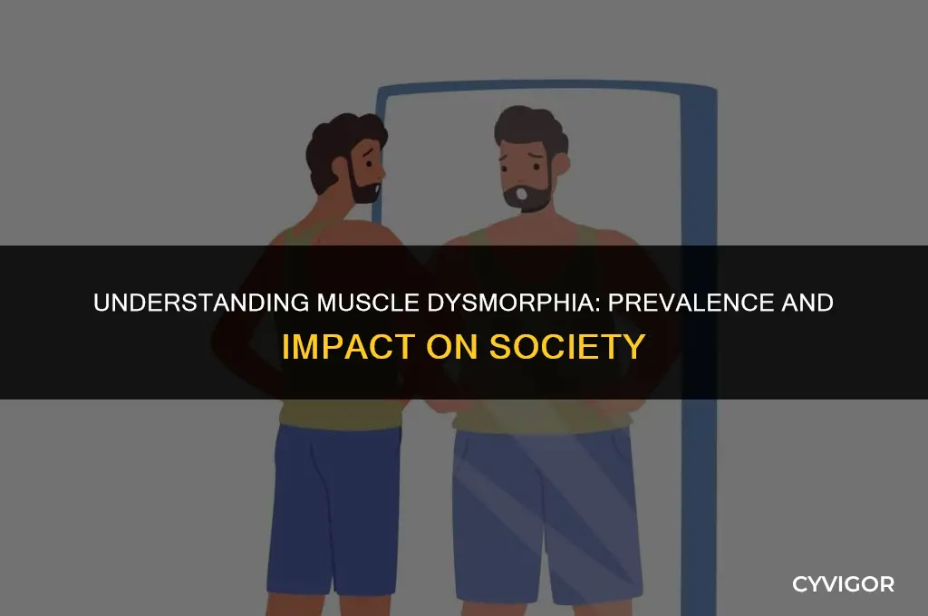 how many people are affected by muscle dysmorphia