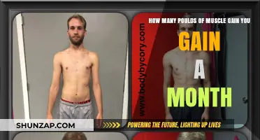 Monthly Muscle Gain: Realistic Expectations for Healthy Growth